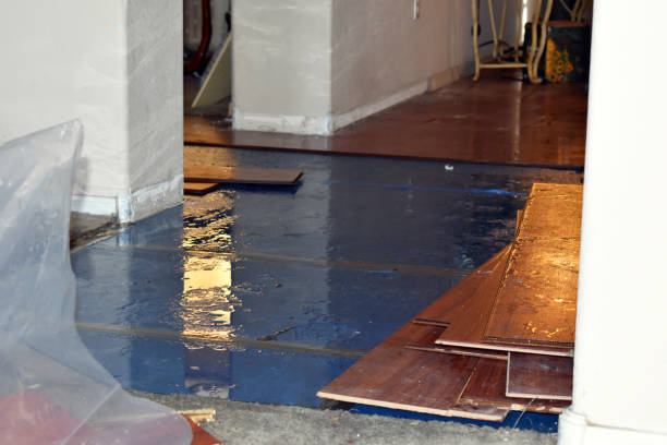 Professional Water Damage Restoration technician working in Kempton, PA